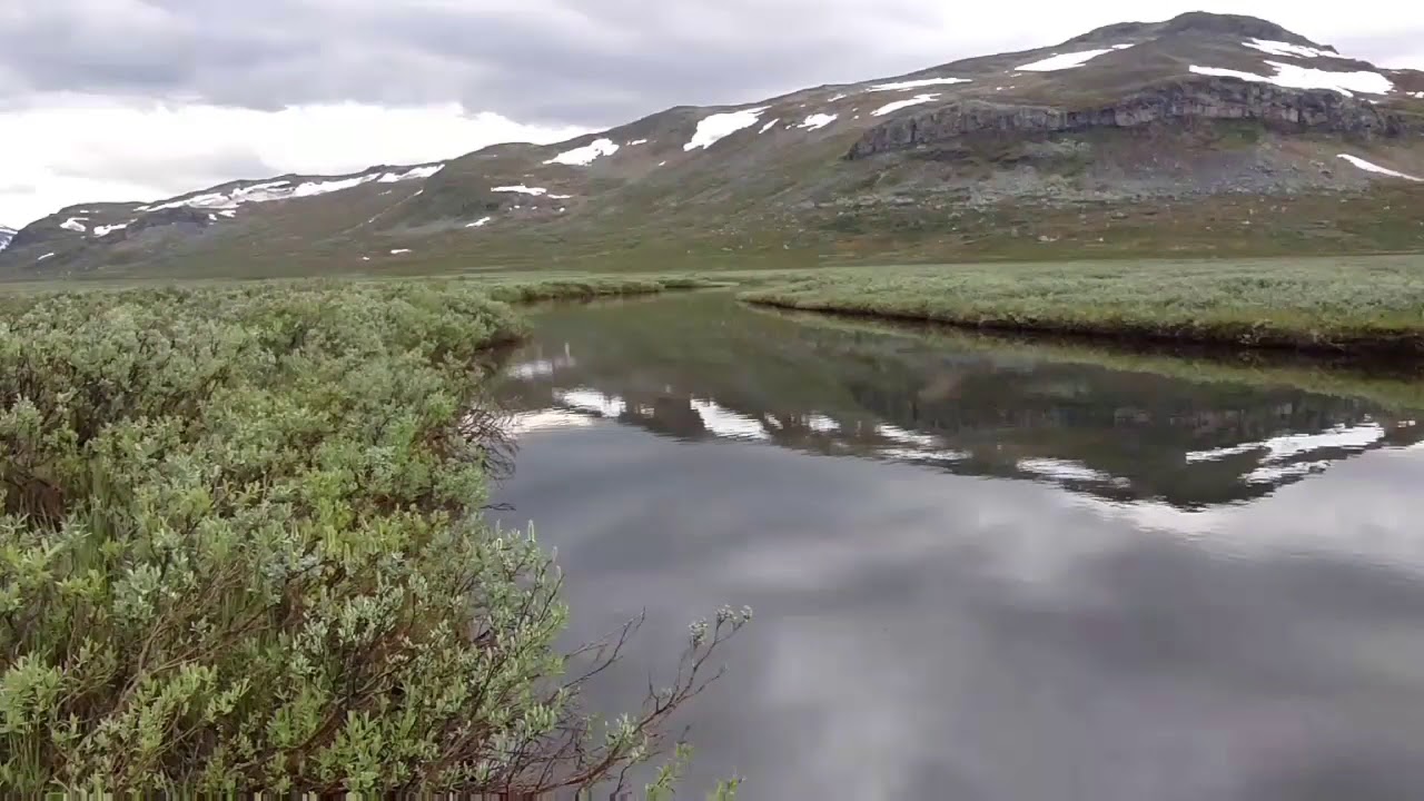 Med superpuppa i harrjokken.