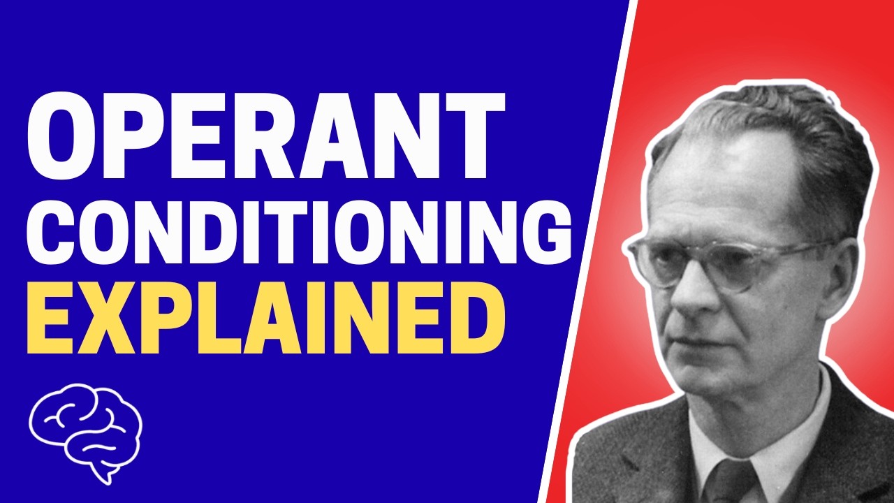 B.F. Skinner’s Operant Conditioning Theory Explained