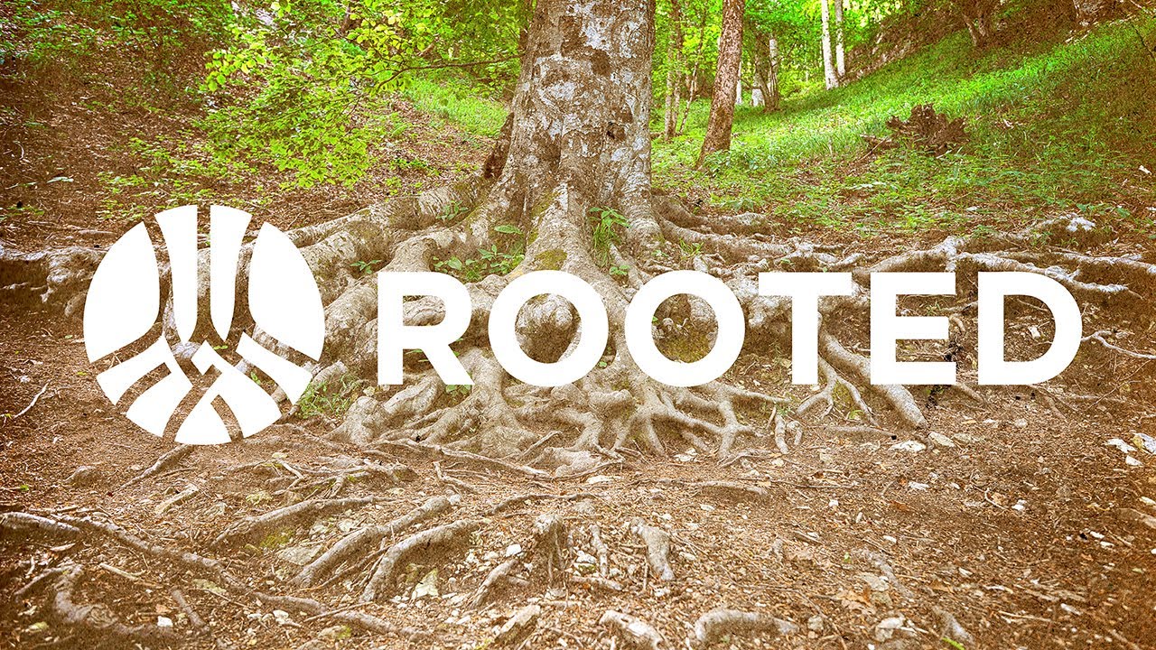 Rooted Experience Promo