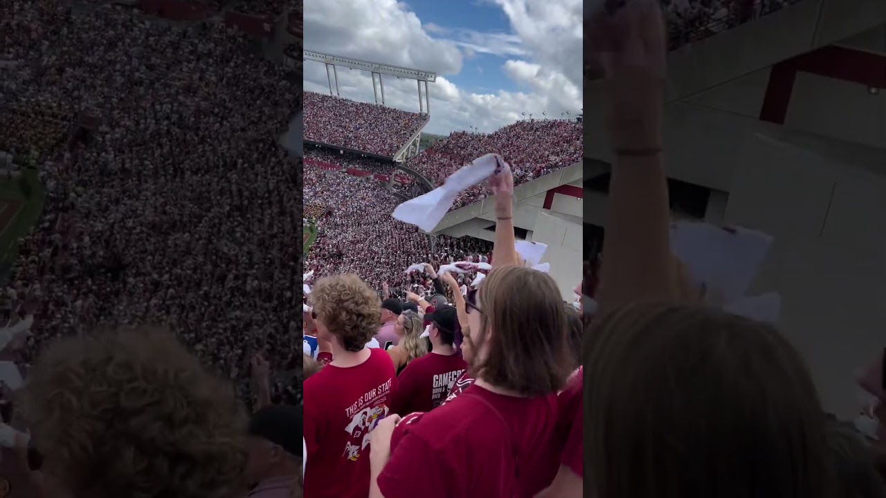 Does South Carolina have the best opening in football?? #gamecocks Daruds Sandstorm!
