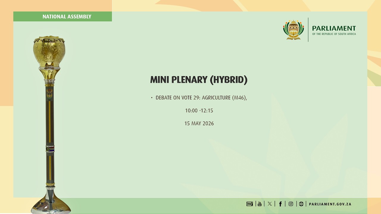 Mini Plenary Budget Vote 29, 15 May 2026