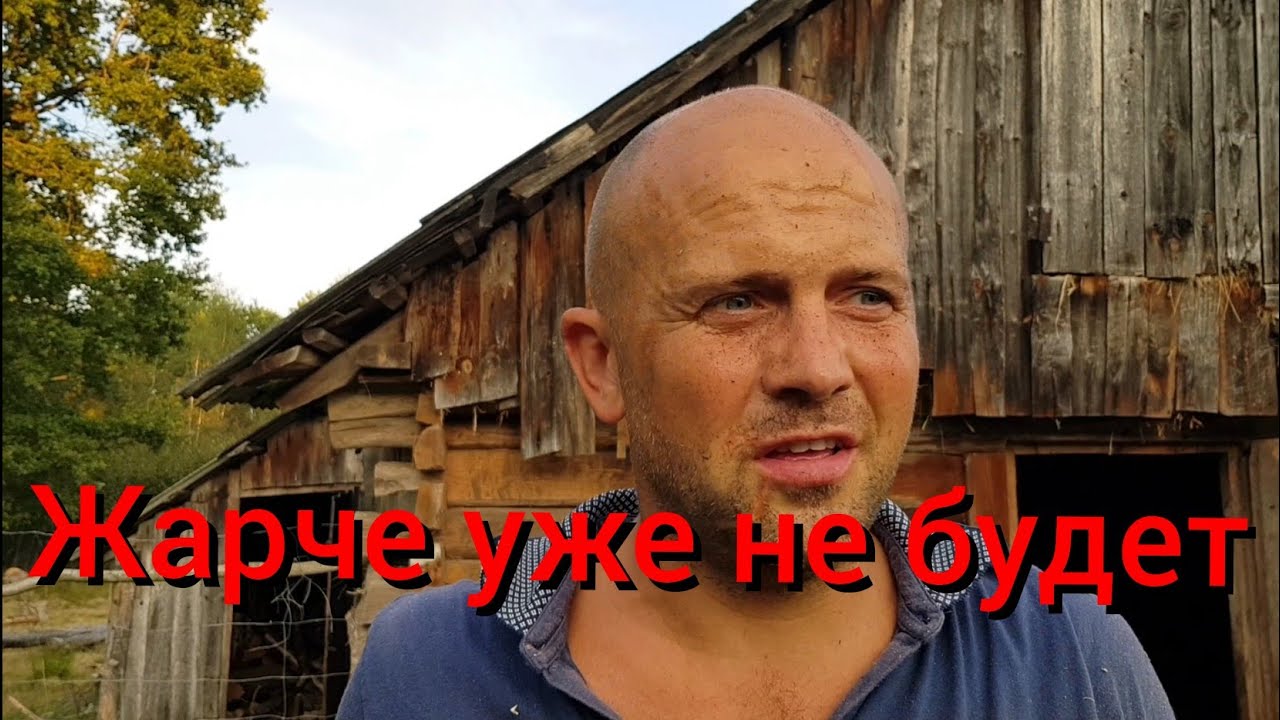 Что можно успеть за вечер? Ремонт сарая ,окончательная распаковка подарков. Торт муравейник