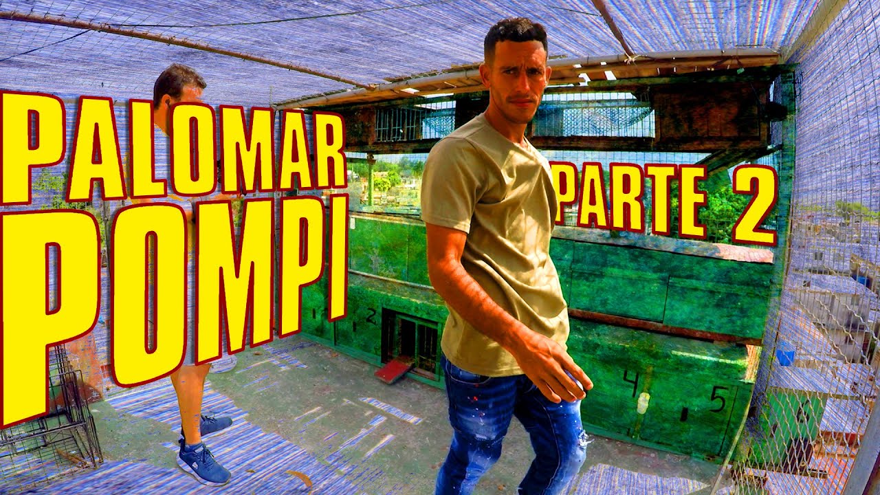 PALOMAR de POMPI en PLAYA. Parte 2