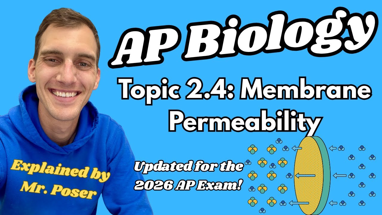 2.4 Membrane Permeability - AP Biology (Updated 2025-2026)