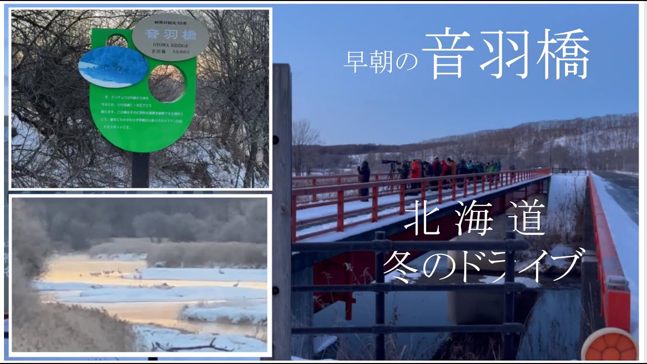 2024 早朝の音羽橋(丹頂鶴ｺｰｽ)  冬  | 北海道ドライブ