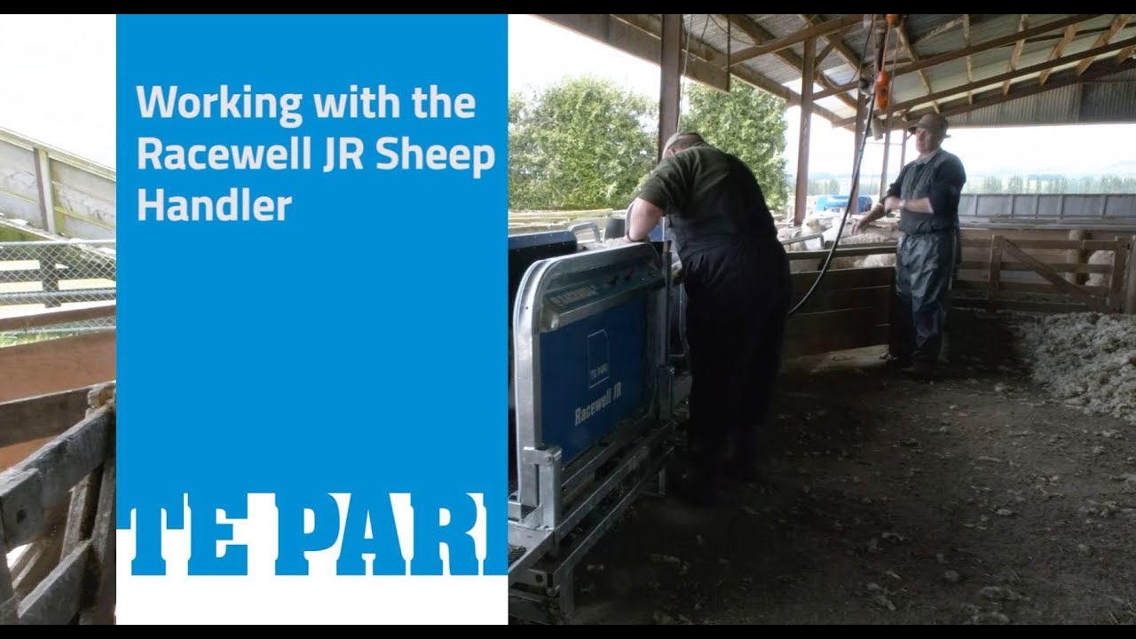 Using the Racewell JR Sheep Handler