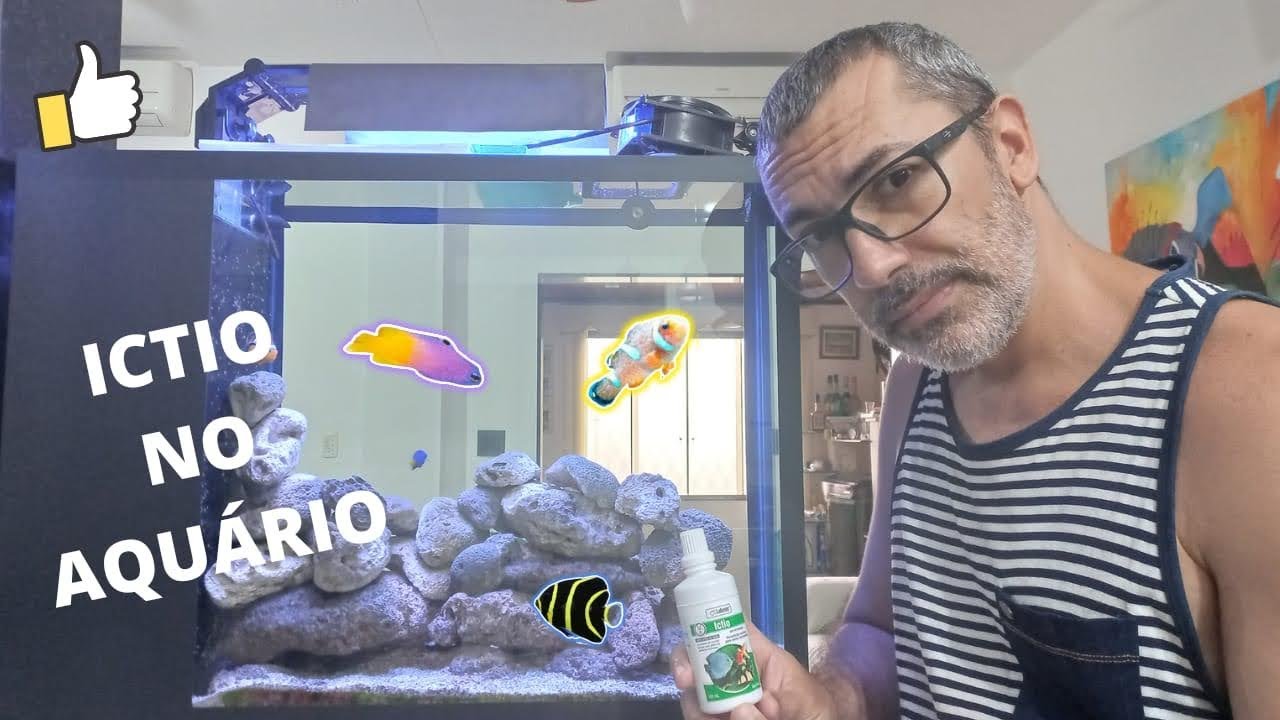 Combatendo o ICTIO no aquário marinho na Prática !  #aquario  #aquariomarinho
