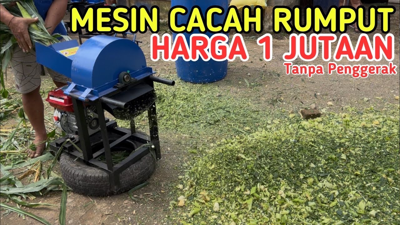 MESIN CACAH RUMPUT COBEK HARGA 1 JUTAAN