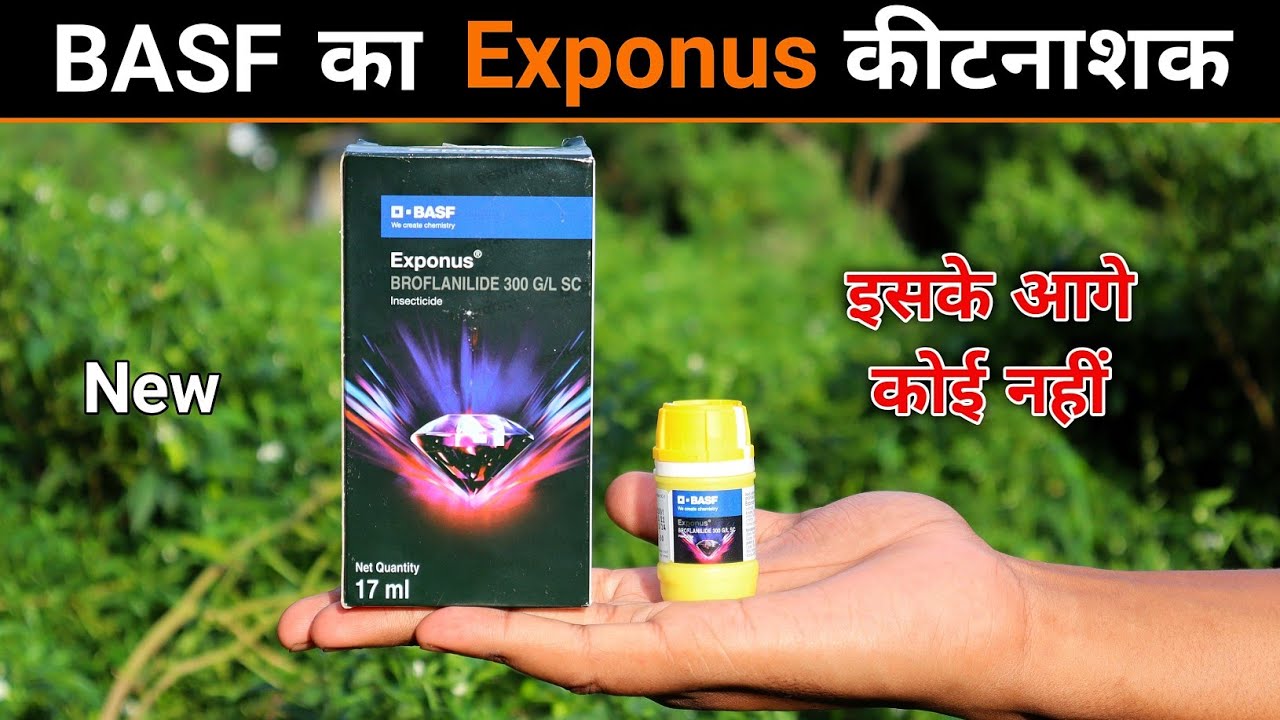 Exponus basf | Exponus Insecticide | BASF का नया कीटनाशक Exponus 🔥
