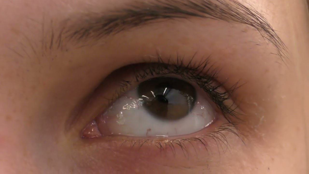 SIGHTLINE 0.1 SCREEN FOUR