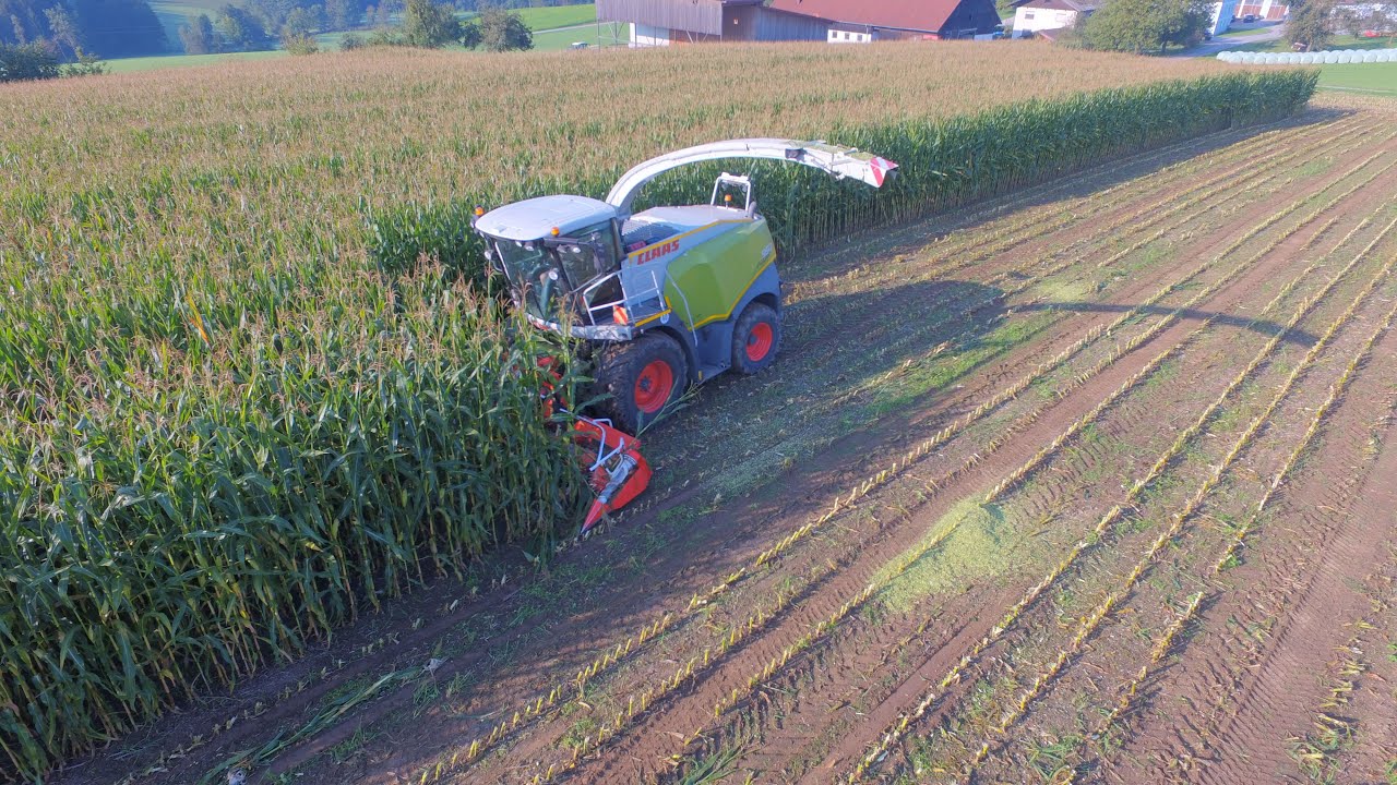 Maisernte | Claas Jaguar | Fendt | Steyr | New Holland