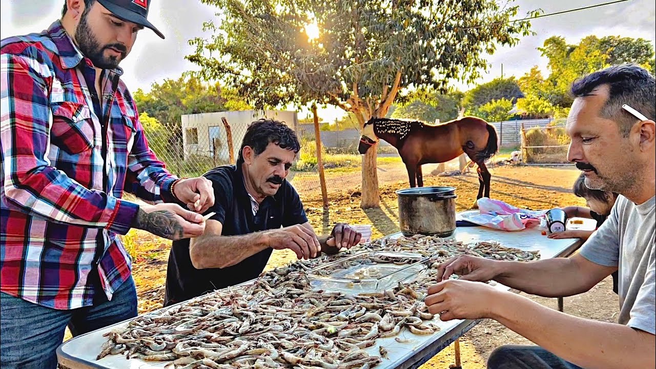 TARDEADA de CAMARONIZA en el Rancho con mi Apa MIGUEL MONTOYA 🤠🎥🎸🍀@Miguel Montoya Legado