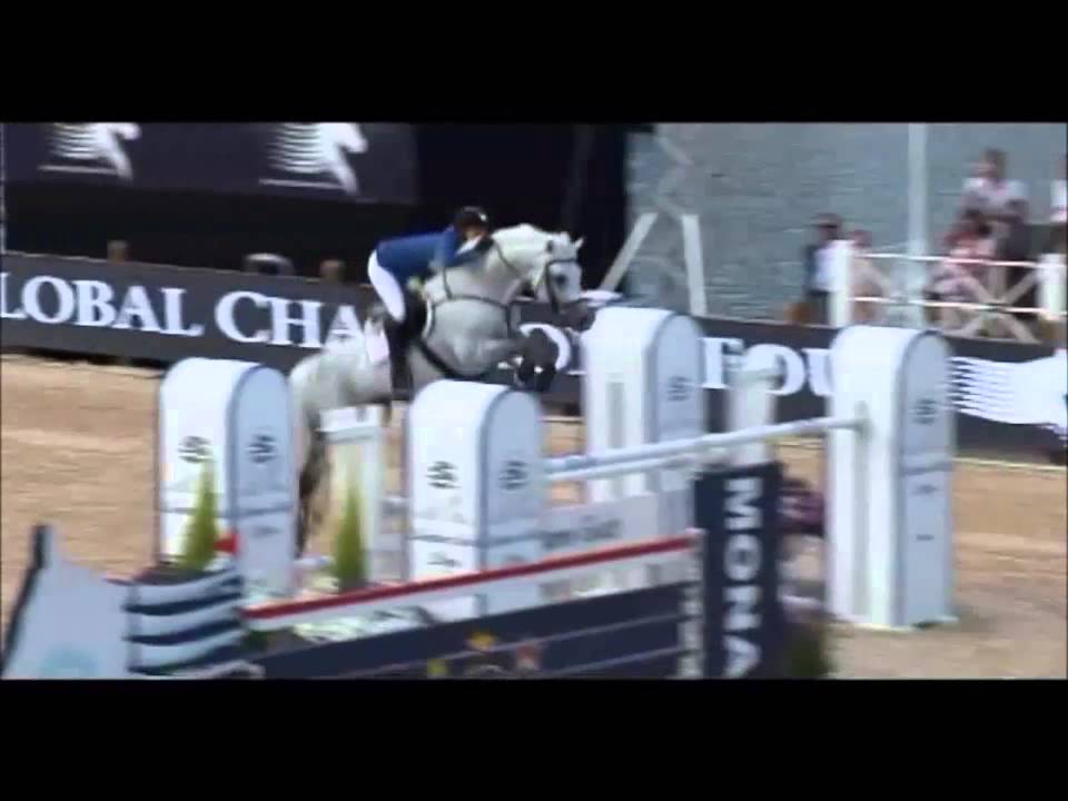 LEVISTO Z: Zangersheide stallion Judy Ann Melchior, www.equine-evolution.com