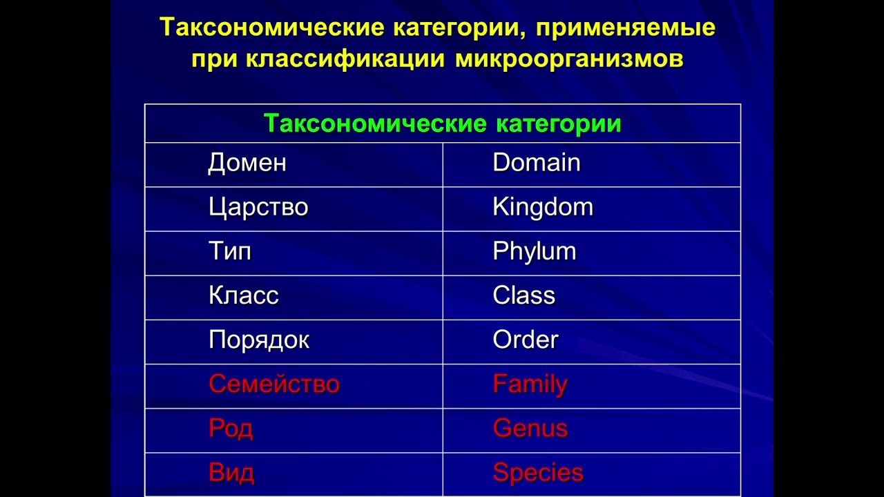 Систематика микроорганизмов