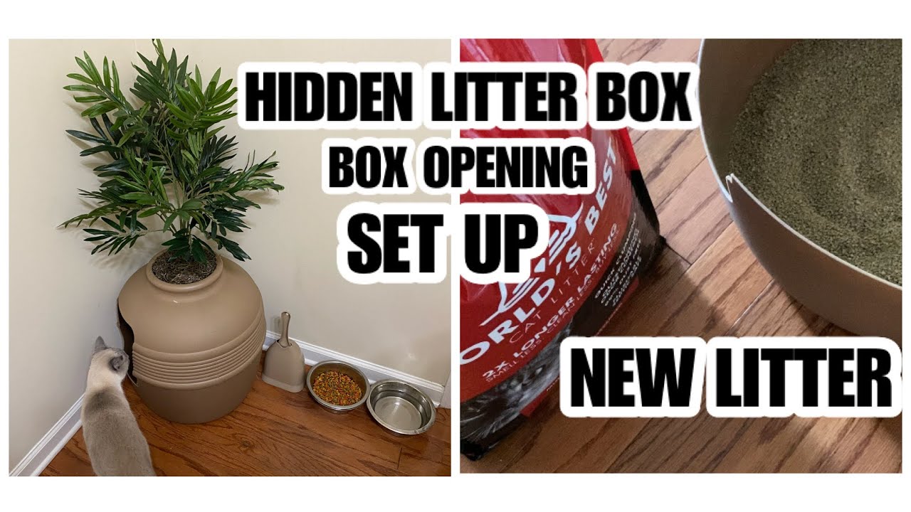 THE BEST LITTER BOX "HIDDEN LITTER” OPENING & SETUP
