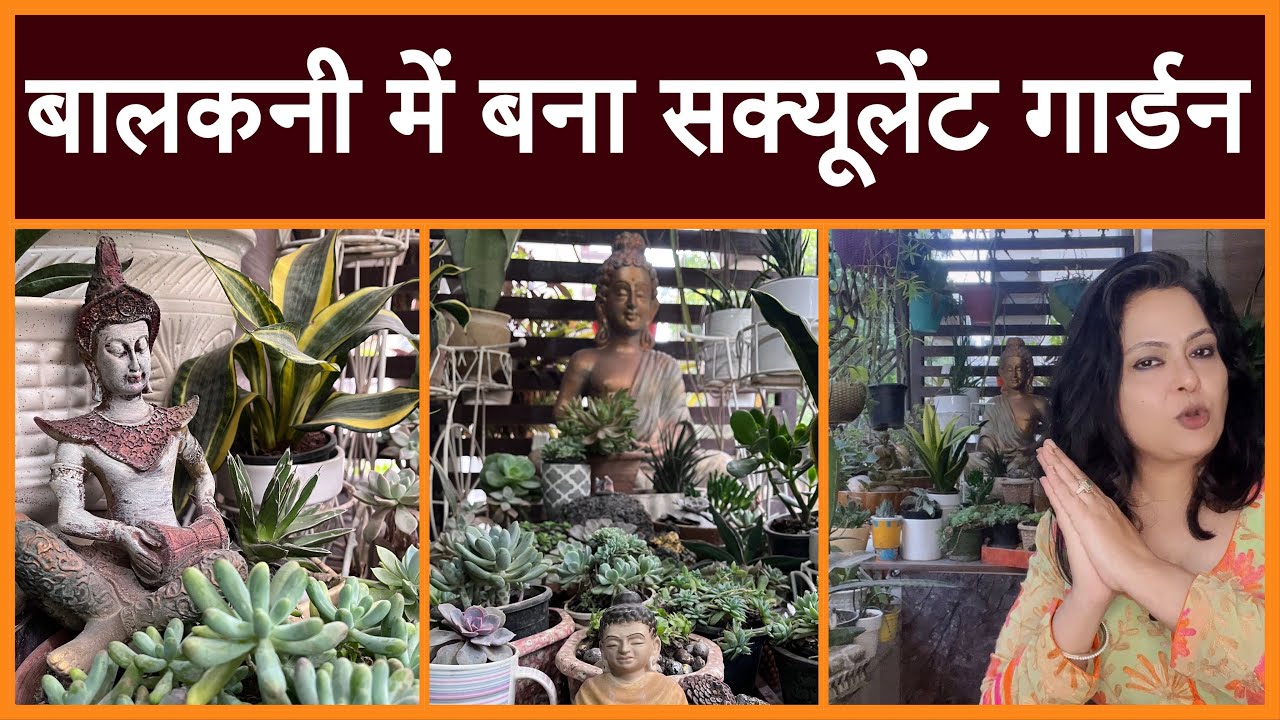 My succulent garden tour ॥बॉलकनी में बना रखा है इतना सुन्दर सक्यूलेंट  गार्डन ॥ Garden overview -1