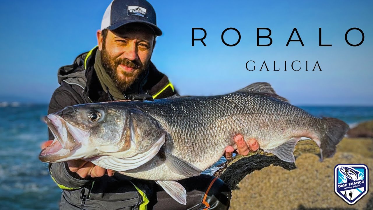 ¡INCREÍBLE! Capturo mi lubina MÁS GRANDE: ¡7 KILOS de pura fuerza! #robalo