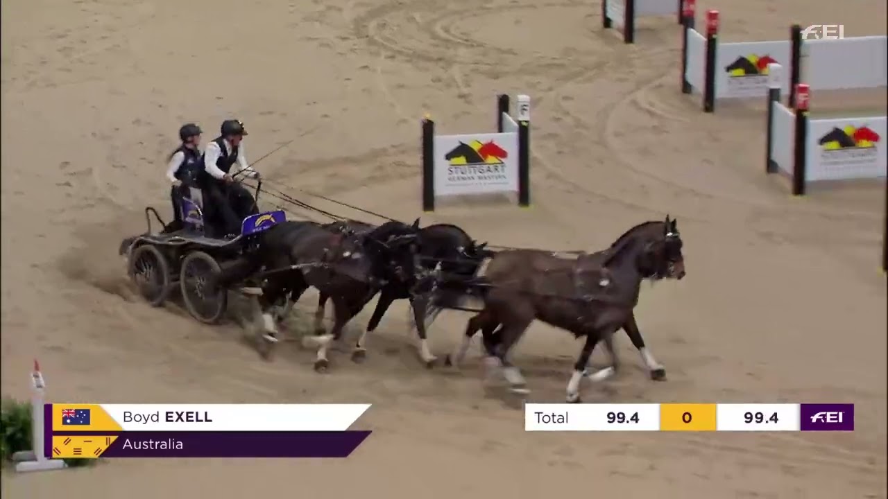 FEI Driving World Cup™ - DRIVING GERMAN MASTER