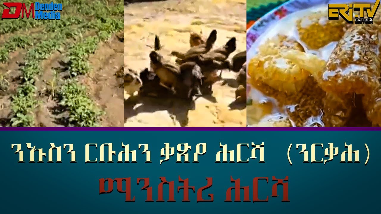 ንኡስን ርቡሕን ቃጽዖ ሕርሻ - (ንርቃሕ)  - ሚንስትሪ ሕርሻ | fere tsaeri - Small and profitable penal agriculture