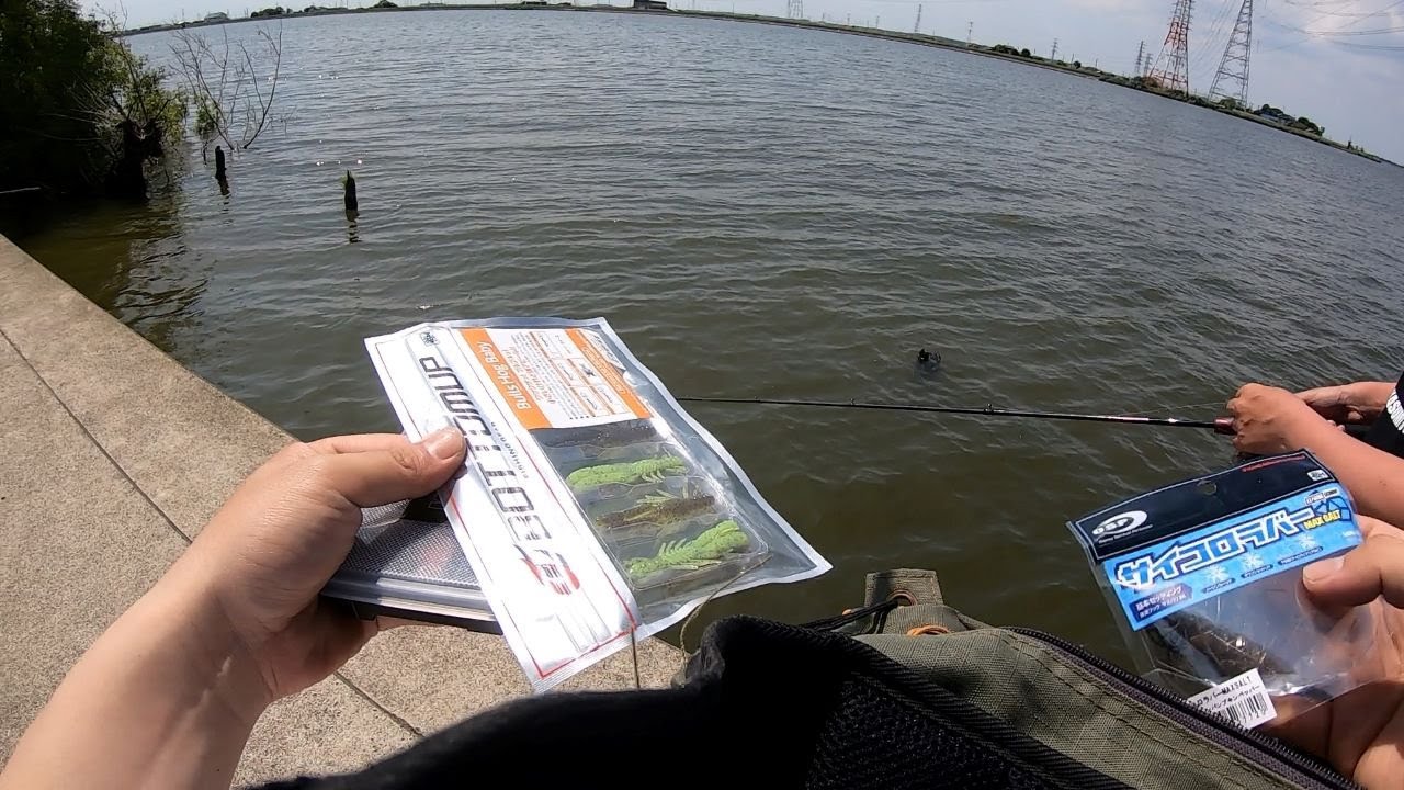 霞水系でみんな釣れてみんな笑顔【ツリデルタトーキョー】