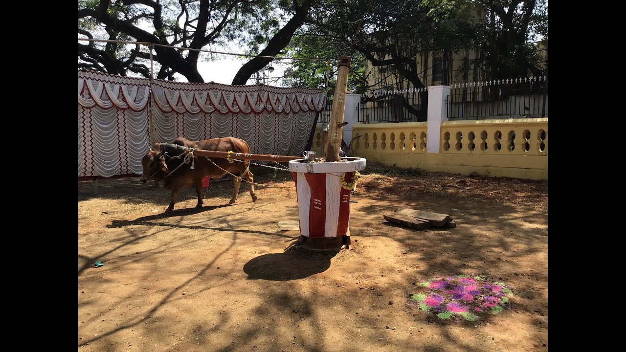 Desi Oil Mill - Desi Oil Mela 2026 Mysore