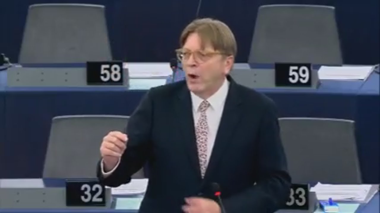 Guy Verhofstadt Poland threat - Article 7  - Korwin Mikke gives awesome response - 15.11.2017)