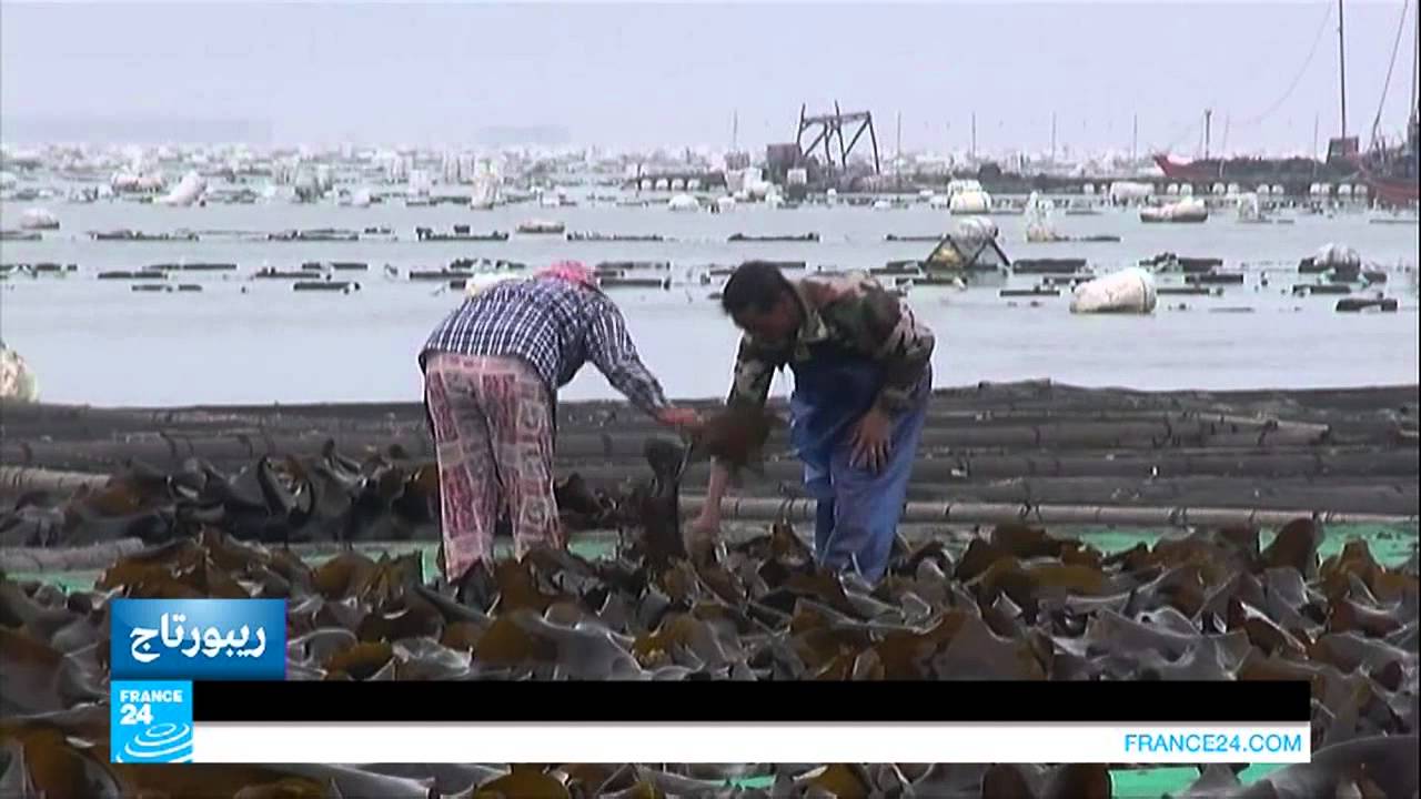 الصين.. فودجان.. مدينة مزارعي الطحالب العائمة!!