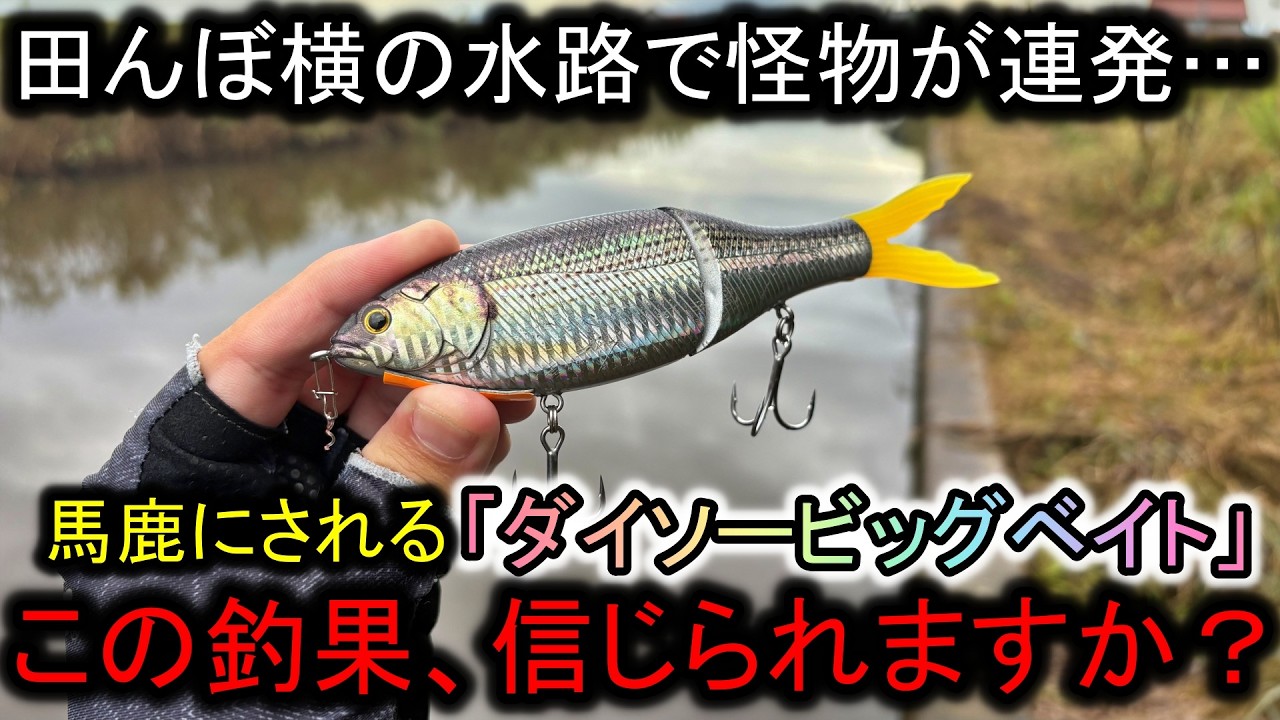田んぼ横の水路にダイソービッグベイトを落とす…想定外の怪物連発で動画が破壊された