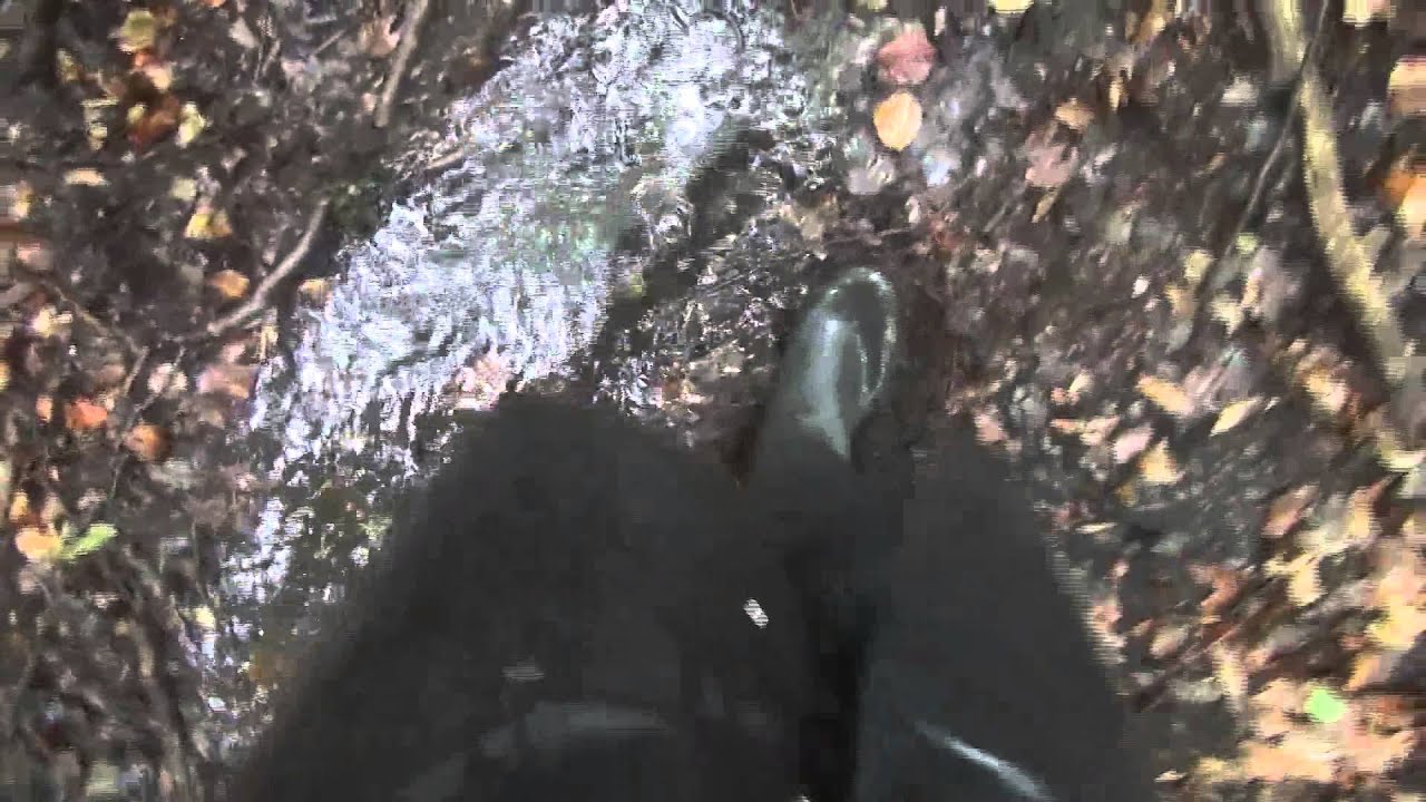 Bella sticks her rubberized feets deep in the dirt