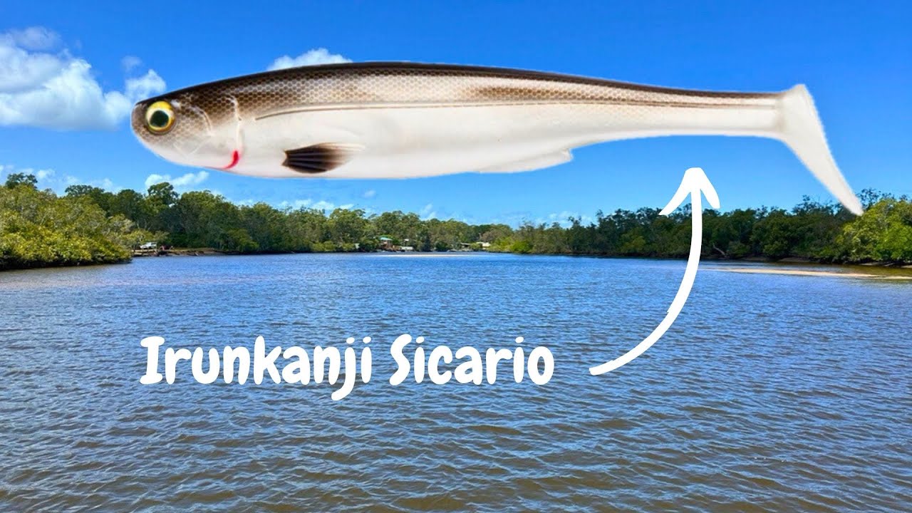 My Epic Mangrove Jack Catch With The Irunkanji Sicario