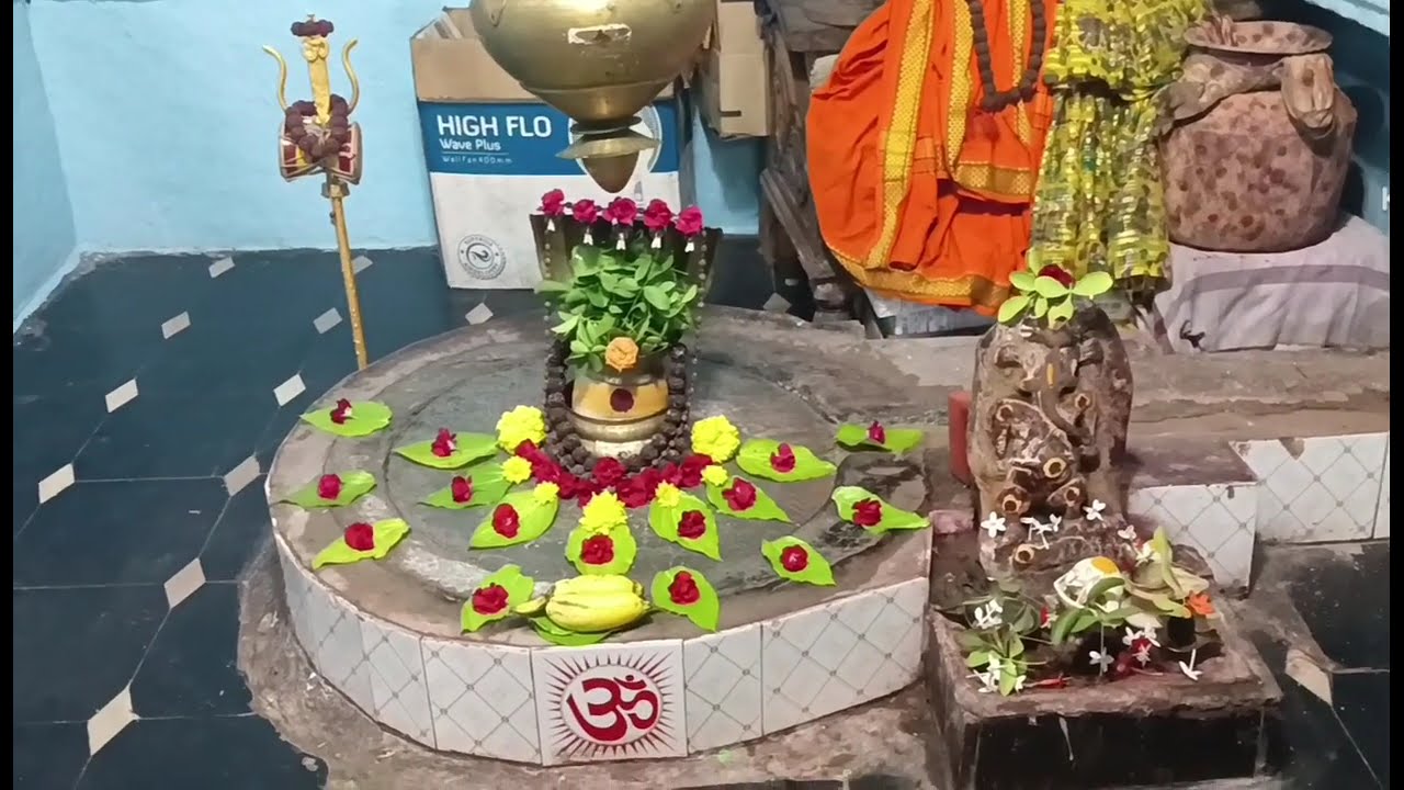 ఉత్తరాయణం ప్రవేశం 🕉️🎋సంక్రాంతి పండుగ సందర్భంగా స్వామి వారికి పంచామృతలు తో అభిషేక స్నపనం 💐🌾🌿మహాదేవ🙏🕉️