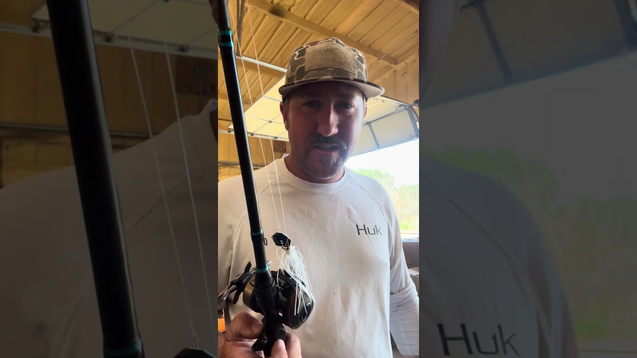 Baits you need to know 
