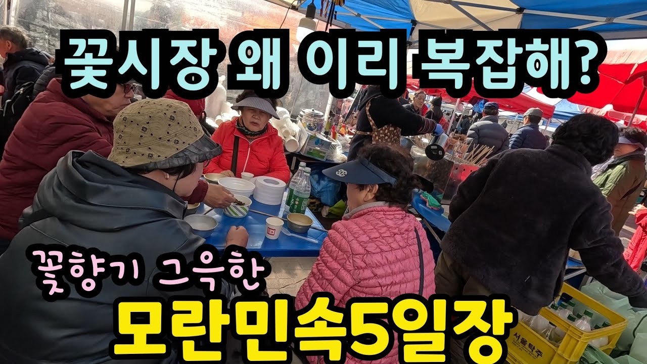 모란5일장 봄마중