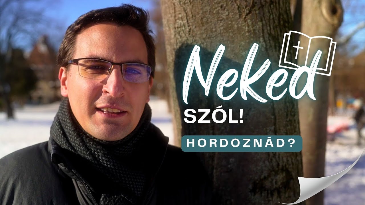 Hordoznád? - Neked szól!