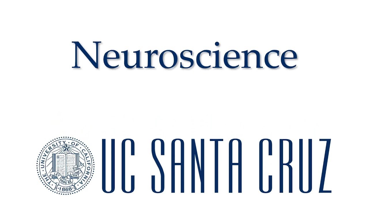 Neuroscience - UCSC Majors