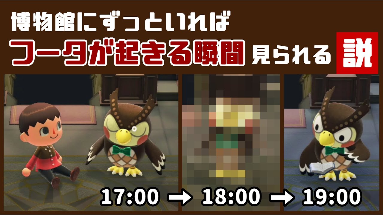 【あつ森】小ネタ検証！博物館にずっといれば「フータが起きる瞬間」＆「寝る瞬間」を見られる説【あつまれ どうぶつの森】@レウンGameTV