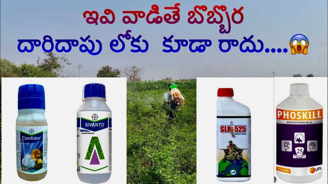 ఇవి వాడితే బొబ్బర సమస్య ఇంకా రాదు 😱 mr farmer  