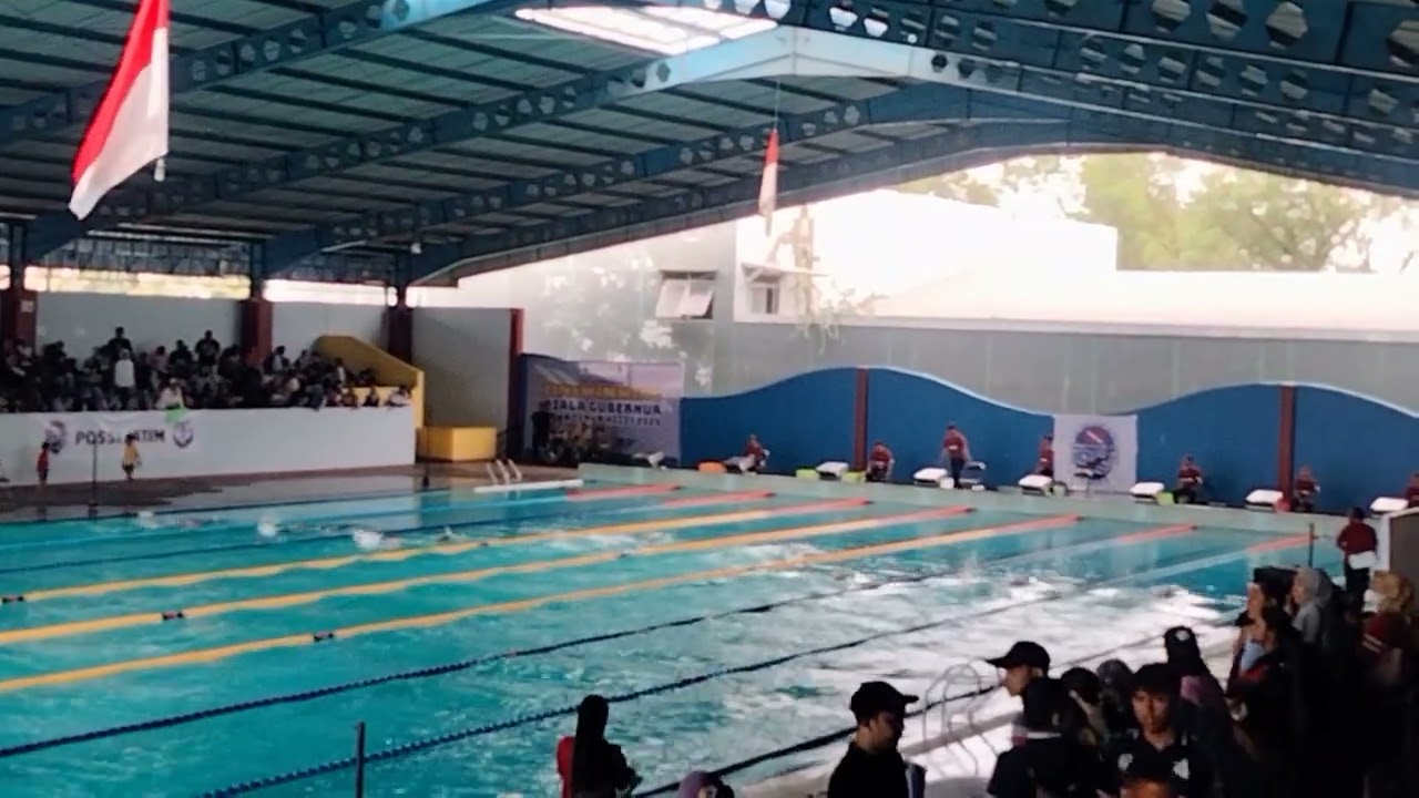 Kejuaraan FinSwimming 