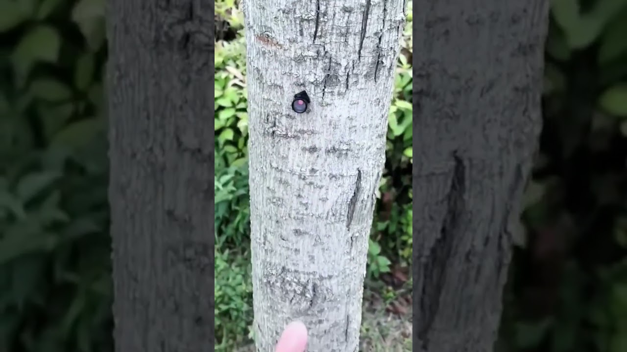 Product Link in the Comments! Mini Motion Detection Wireless Night Vision HD Security Camera