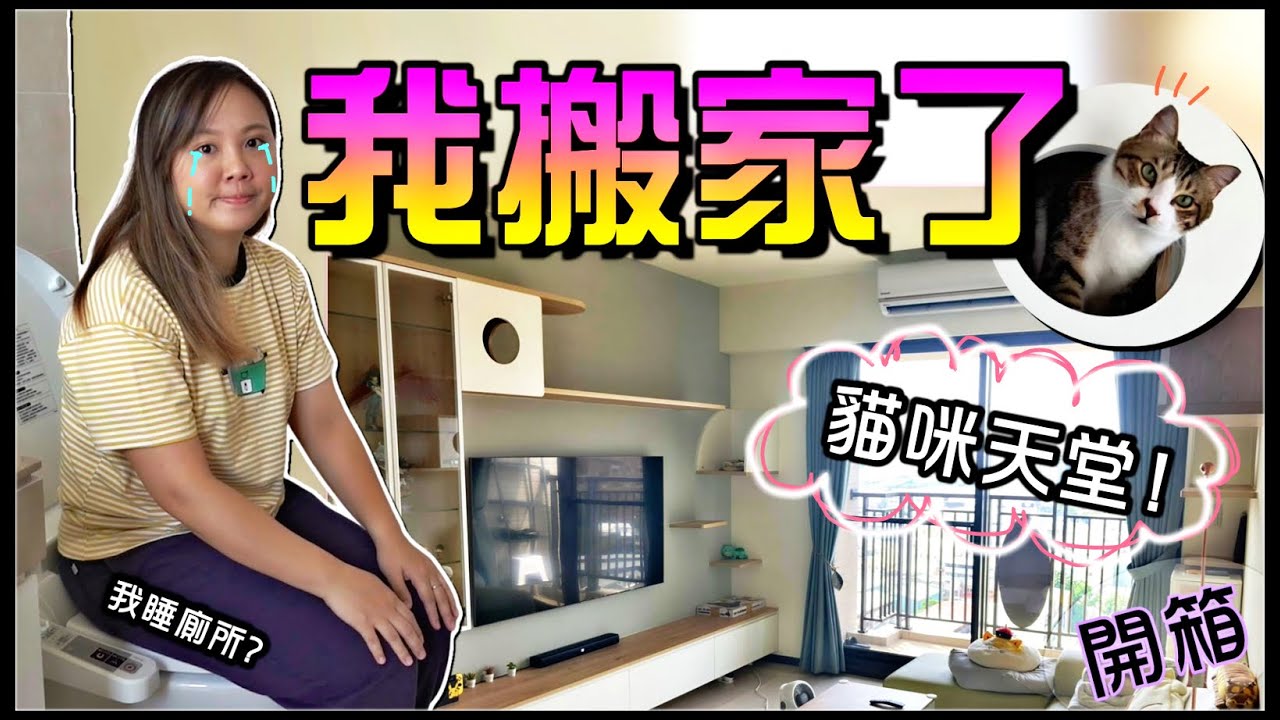 【魚乾】這輩子買過最貴的東西💰💰💰開箱新家！貓咪天堂！