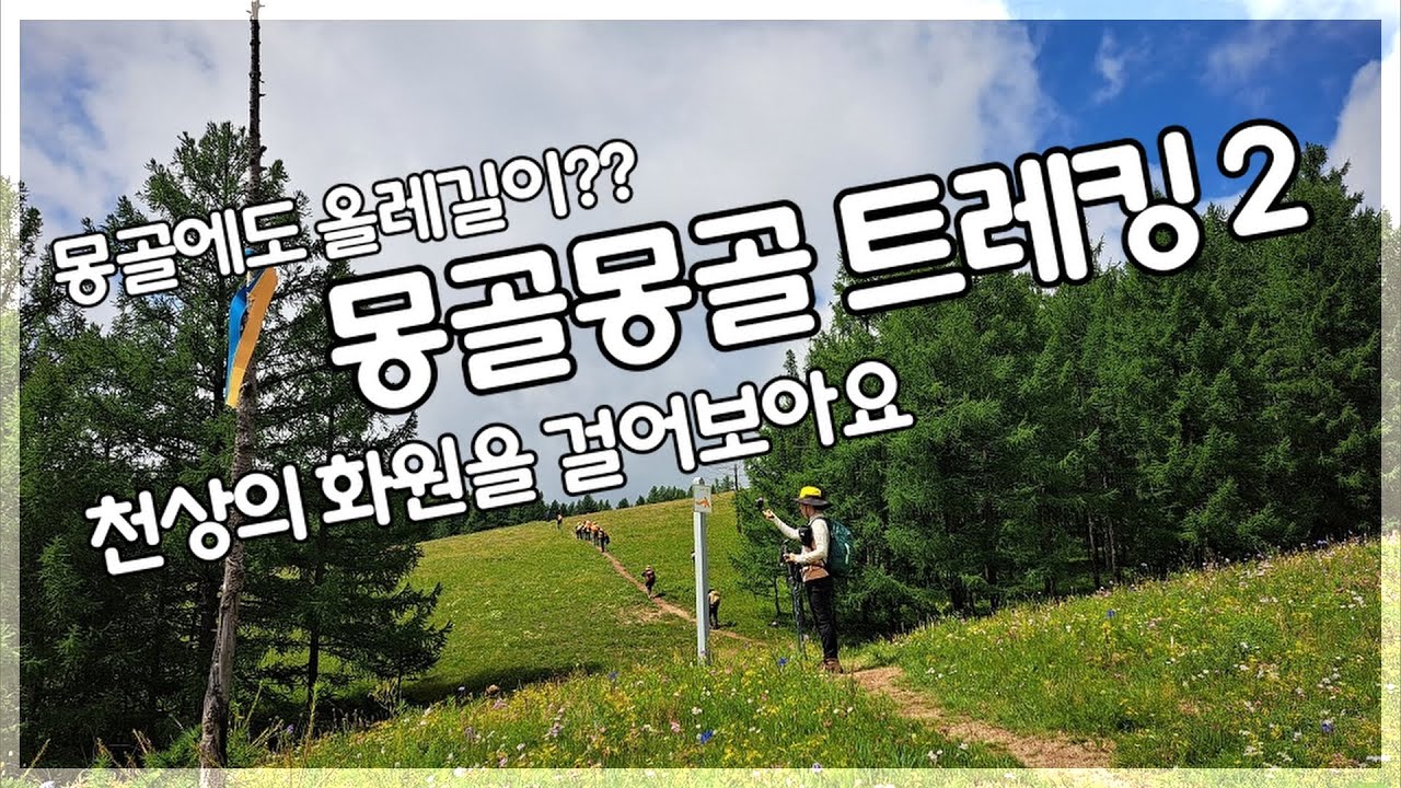 야생화가 환장적인 초원의 나라 몽골 트레킹 3/4 몽골올레3코스 중에서 8.8km /2023.08.05/ 꽃과 숲의 언덕길을 편안하게 걸어보아요