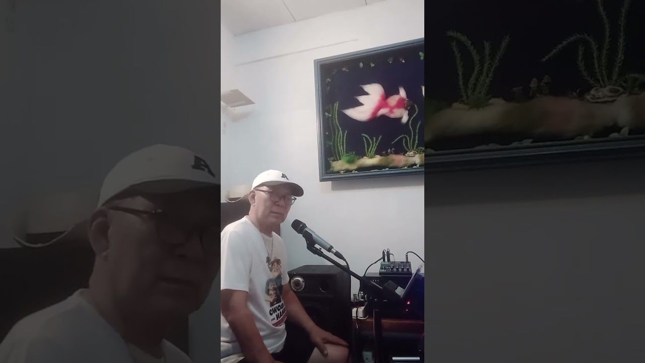 Kau Biarkan Aku Sendiri ,The Mercy ,Cover