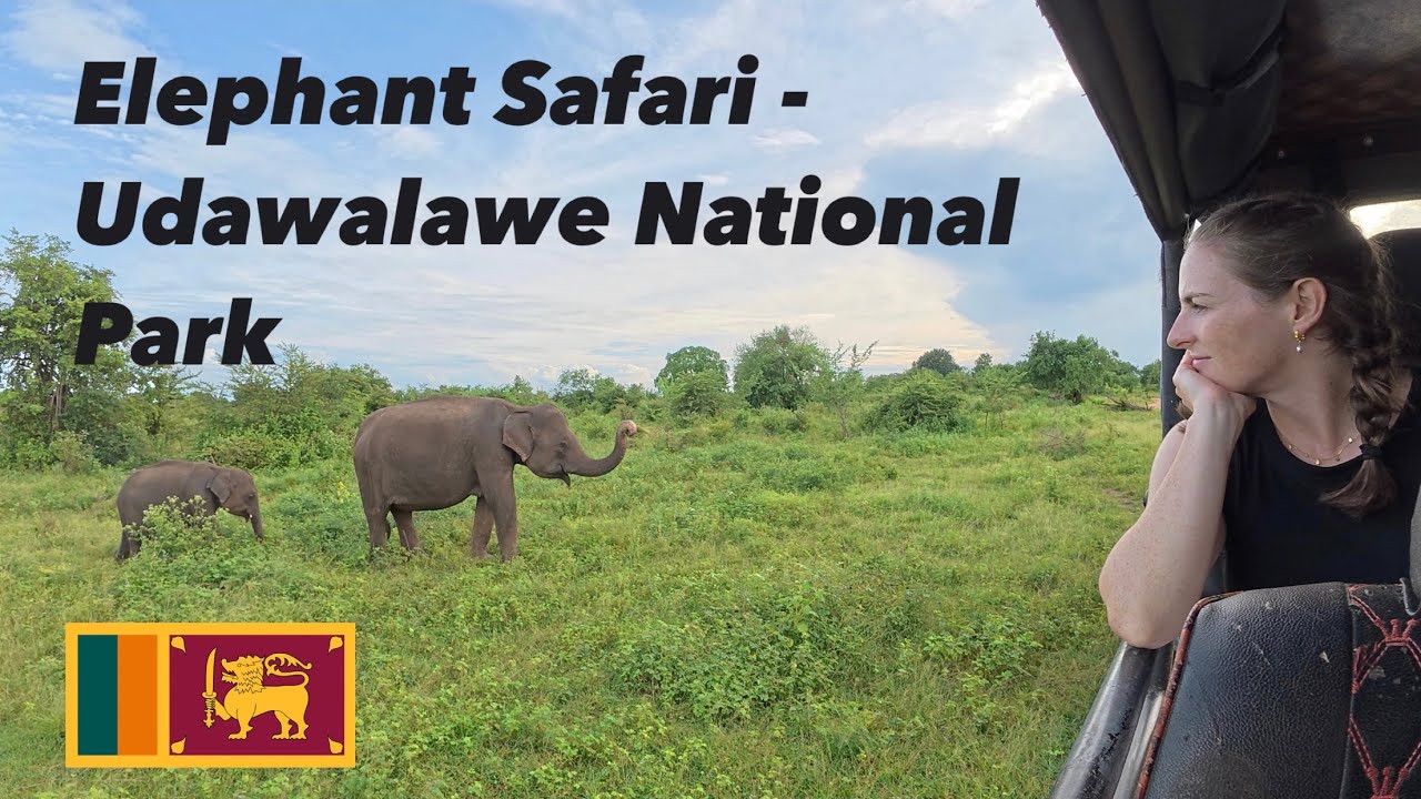 Elephant Safari at Udawalawe National Park - Sri Lanka