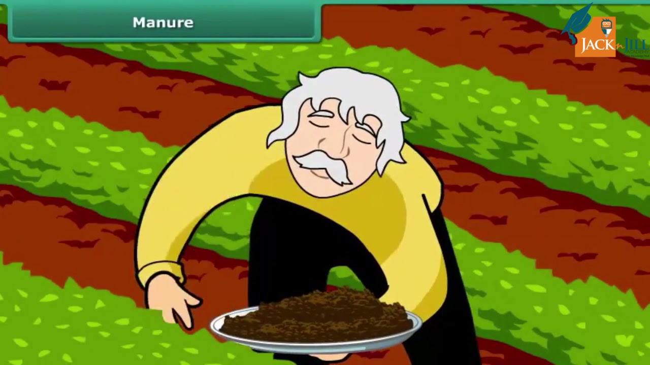 CROP PRODUCTION AND MANAGEMENT || SCIENCE || CLASS 8 || ANIMATED VIDEO