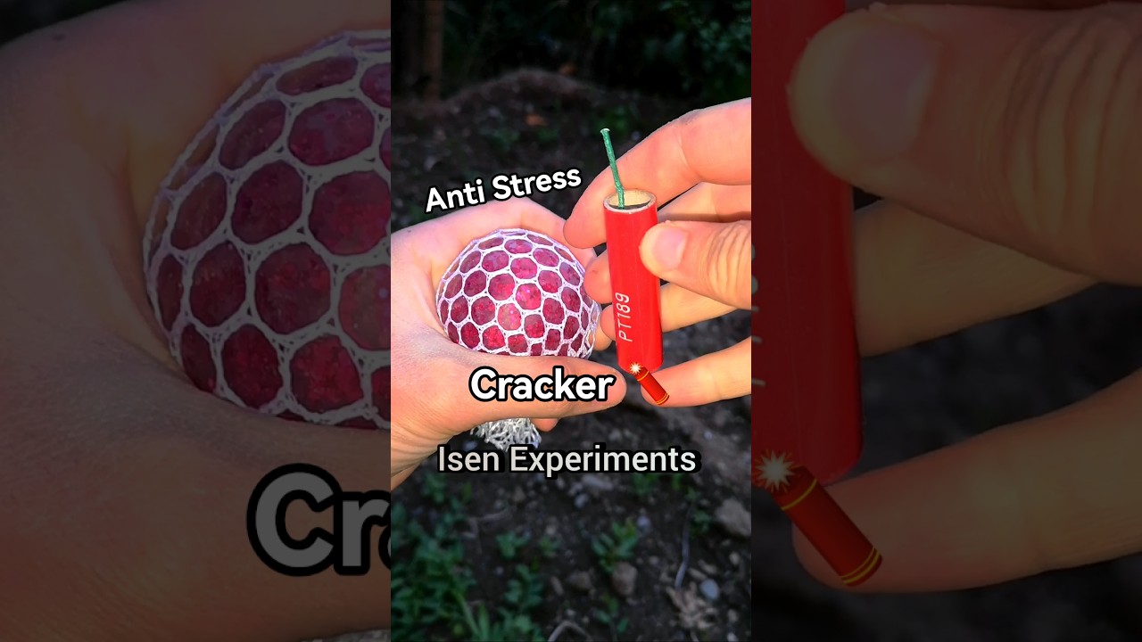 Anti Stress Ball VS Cracker Trick #experiment #firecrackers #fireworks #crackers #trick
