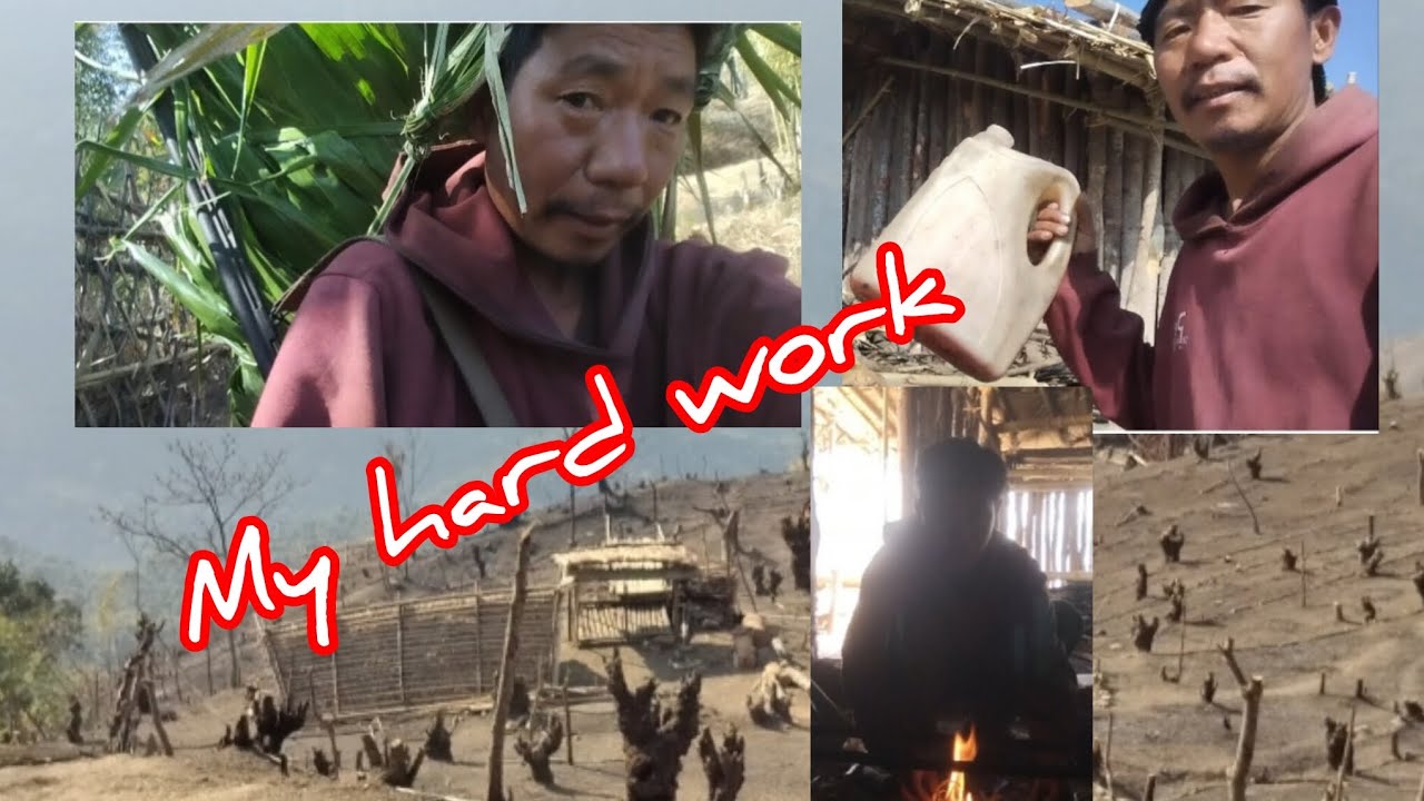 My hard work