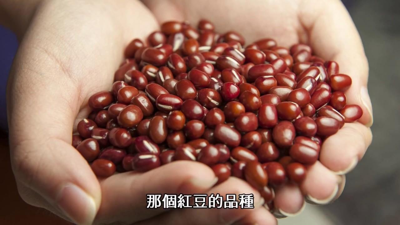 【主廚來解答】煮紅豆湯零失敗 只要5分鐘？ feat.微微蔡老師 | 壓力鍋 | 瑞康屋