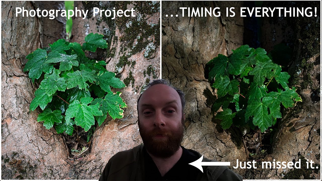 Timing Is Everything | Photography Project