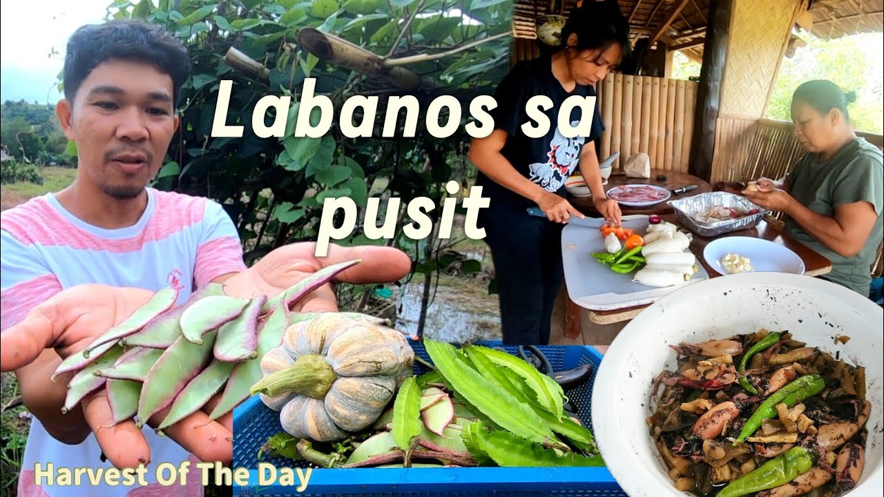 Ep.666- Harvest of the Day|Nagluto ng adobong pusit with labanos| Buhay probinsya