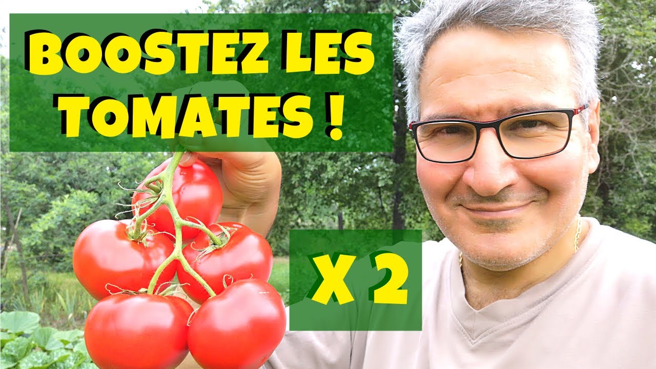 Ce petit truc tout bête qui pourrait bien doubler votre production de tomates !! 🍅🍅